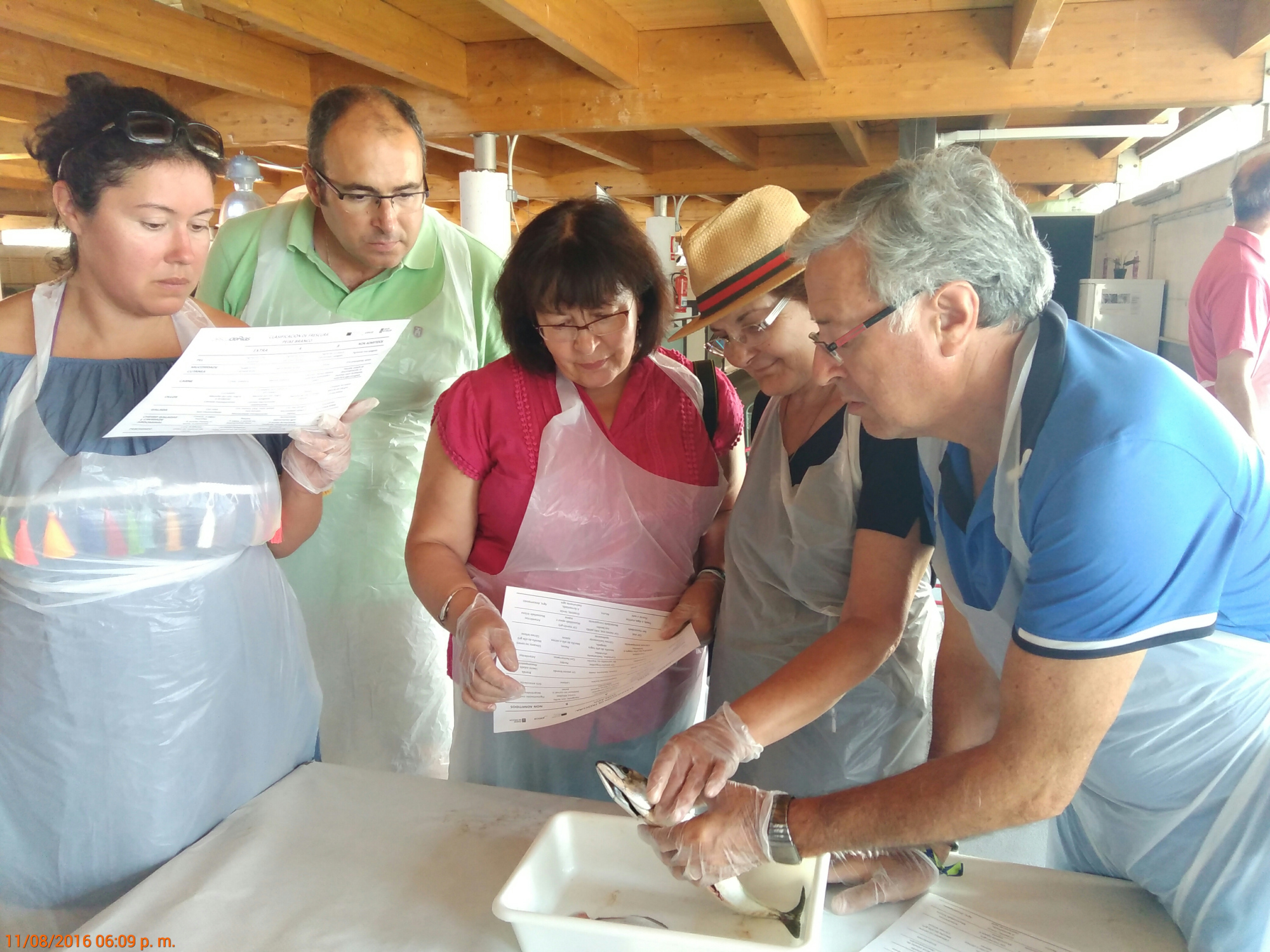 Curso de Identificación de frescura en los productos de la pesca