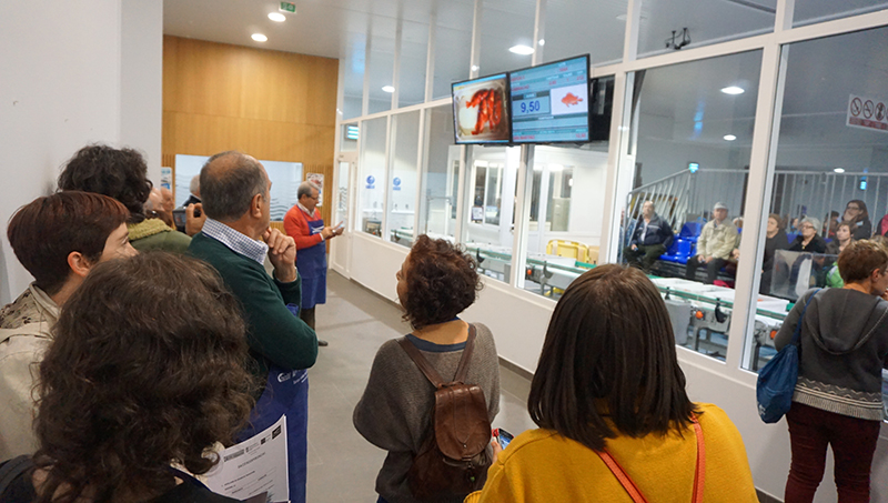 Curso de Lexislación de aplicación nas lonxas: casos prácticos